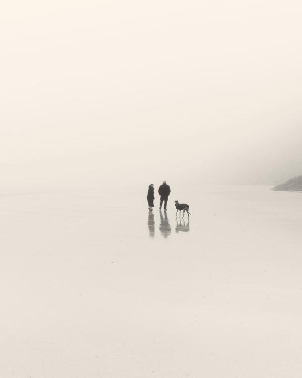 Two people and a dog walking across a wide, foggy shore