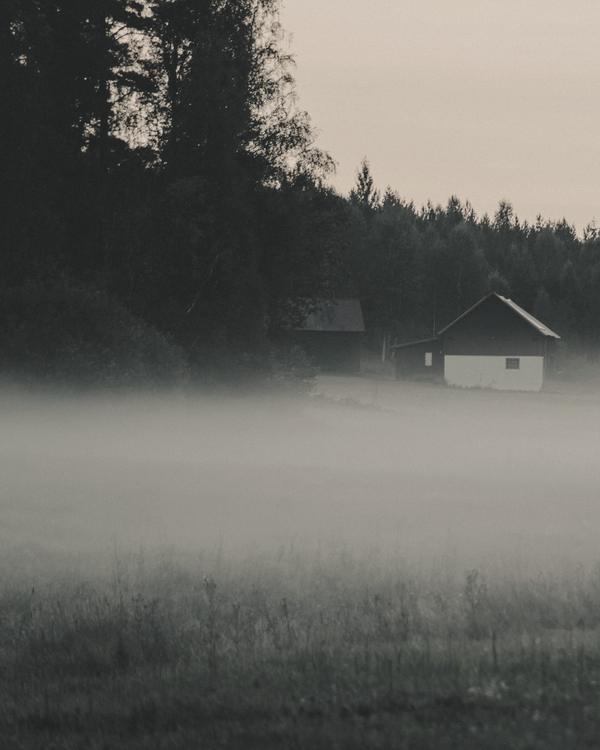 A small house at the edge of a forest, with fog over the field